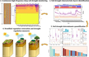 Deciphering the stratified distribution and evolution of deep soil