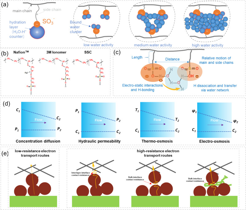 The three-phase transport polarization and structural design