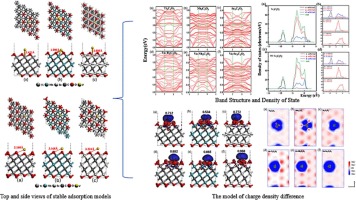 First-principles study of V3+ adsorption on MXene toward vanadium