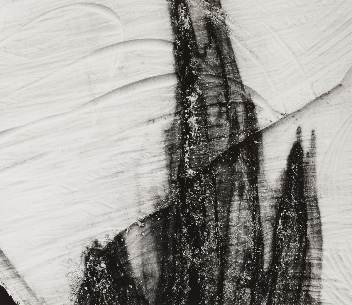 Minor White “Something Died Here”Art Blart _ art and cultural