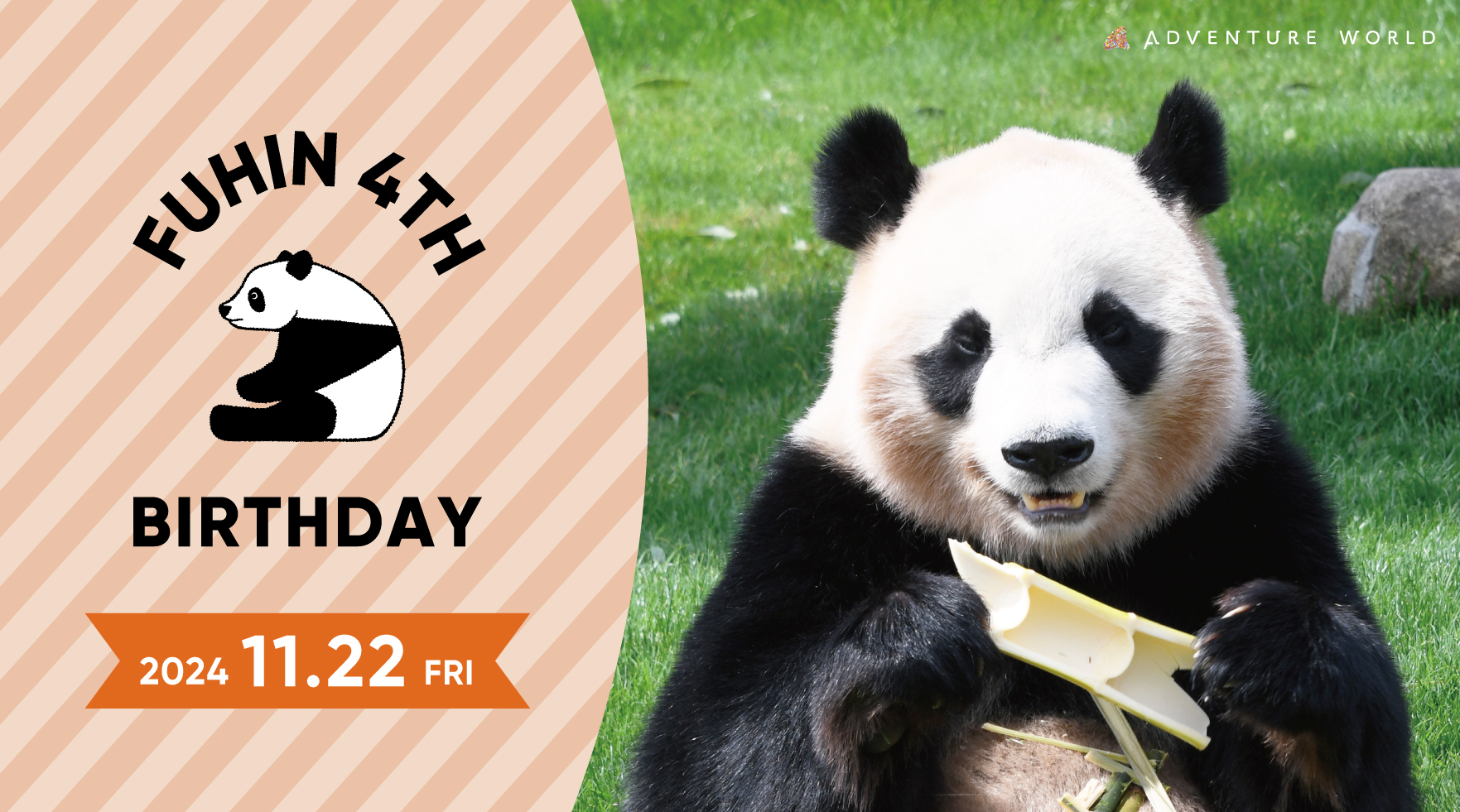 HAPPY PANDA 30th｜30年の感謝とパンダの未来を描く6ヶ月