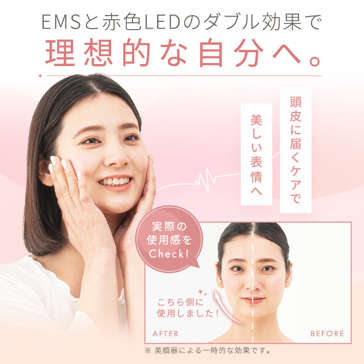 アテックスルルド EMSリフトブラシ AX-NBL506 – アテックスダイレクト