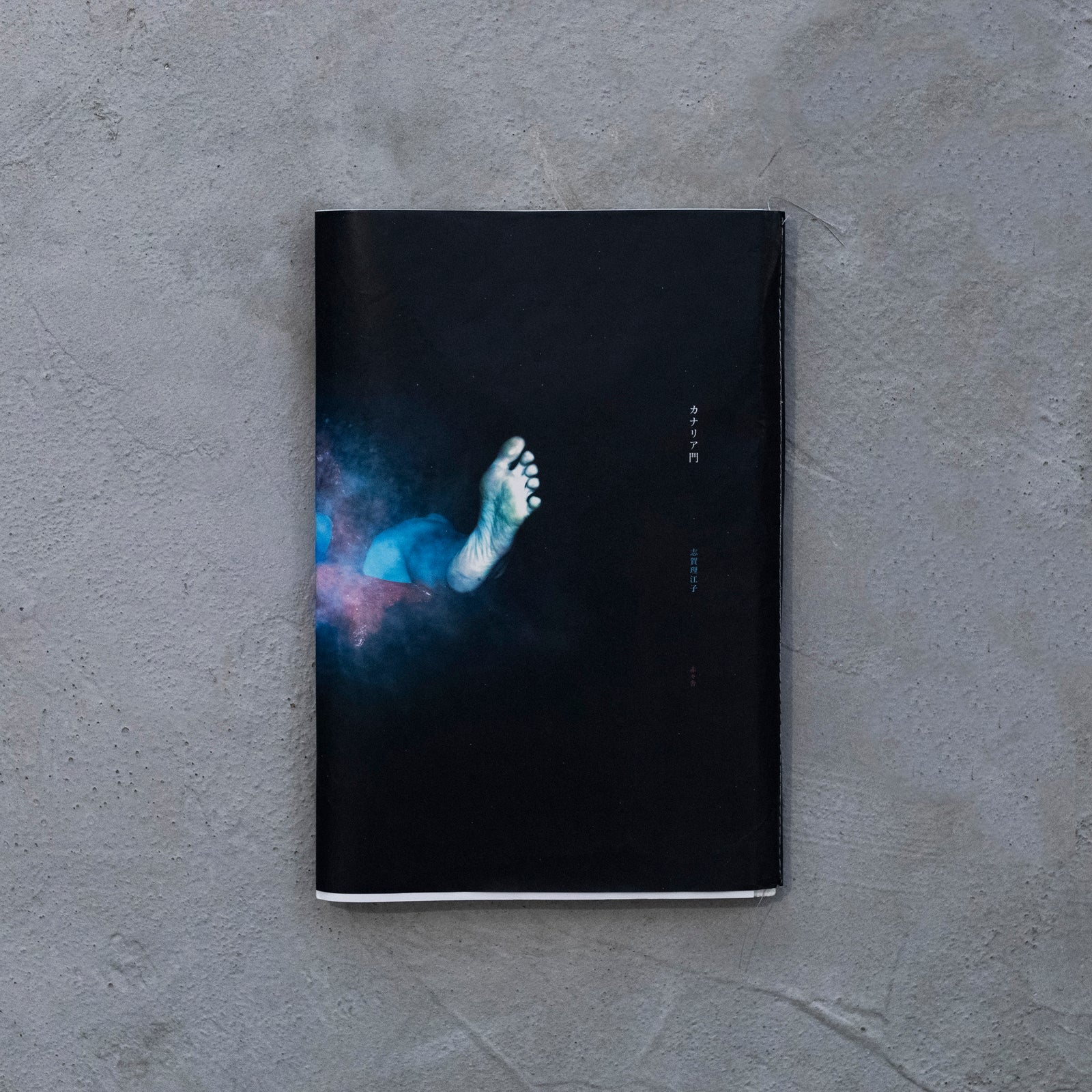 カナリア門｜志賀理江子 – At Sea Day