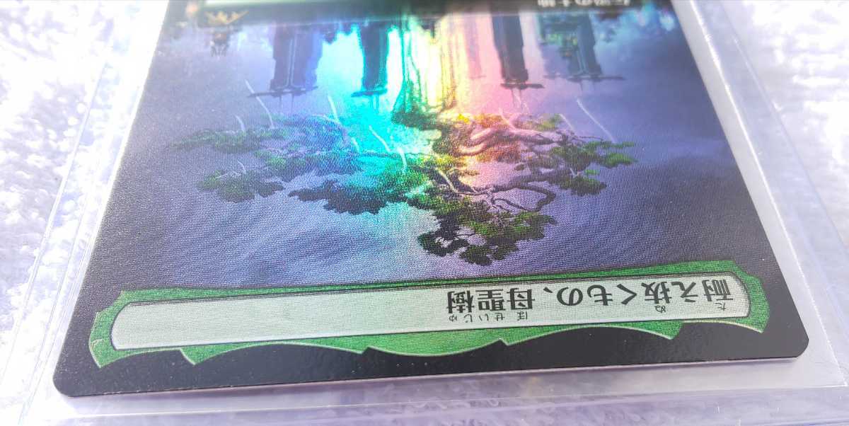 MTG 耐え抜くもの、母聖樹 耐え抜くもの、母聖樹 (Boseiju, Who