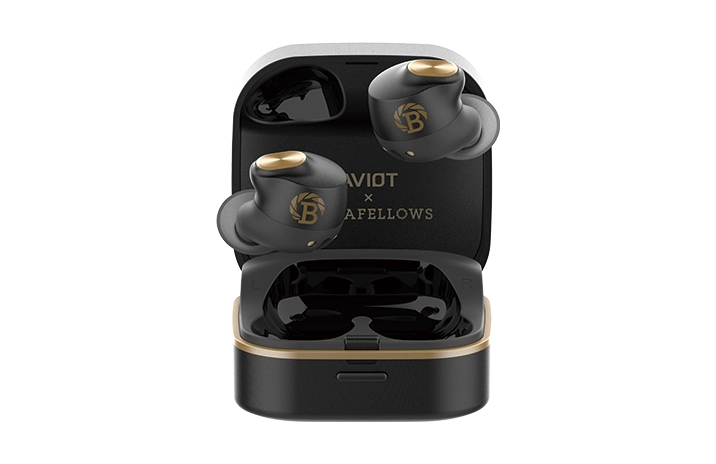 TE-Q3-BSF 製品情報｜AVIOT