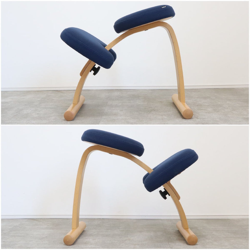 バランスチェア イージー 2脚セット カバー付bサカモトハウス サカモト