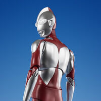 抽選販売】聖闘士聖衣神話EX サジタリアス星矢 GOLD24 | 聖闘士星矢