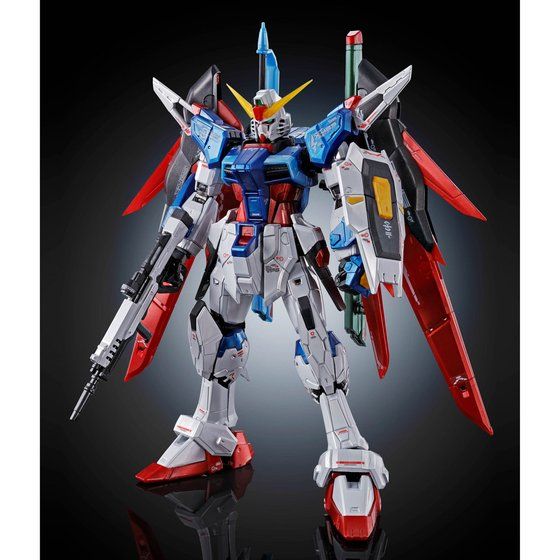 RG 1/144 デスティニーガンダム［チタニウムフィニッシュ］│株式