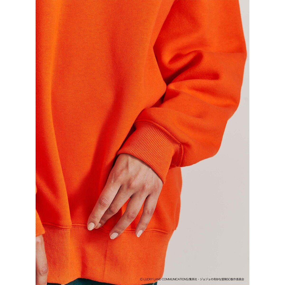 ジョジョの奇妙な冒険 ストーンオーシャン×PAMEO POSE】G.D.st JAIL