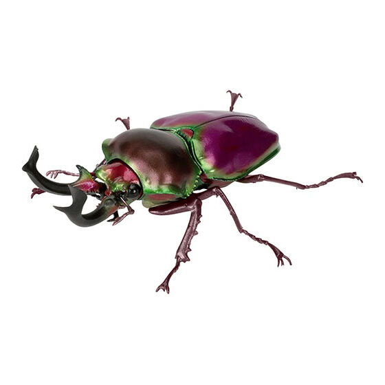 いきもの大図鑑 くわがた10｜ガシャポンオフィシャルサイト