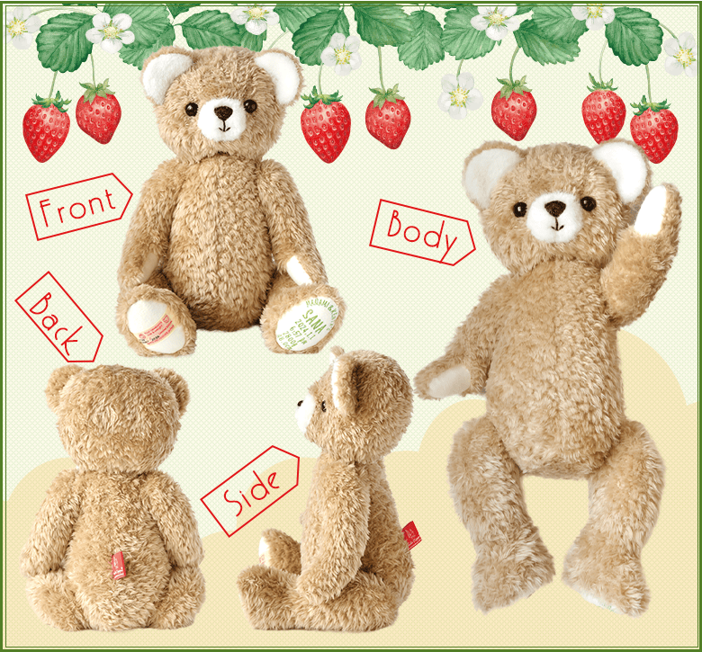 身長体重ベア】2024年限定メモリアルベア 春夏モデル | 体重ベア