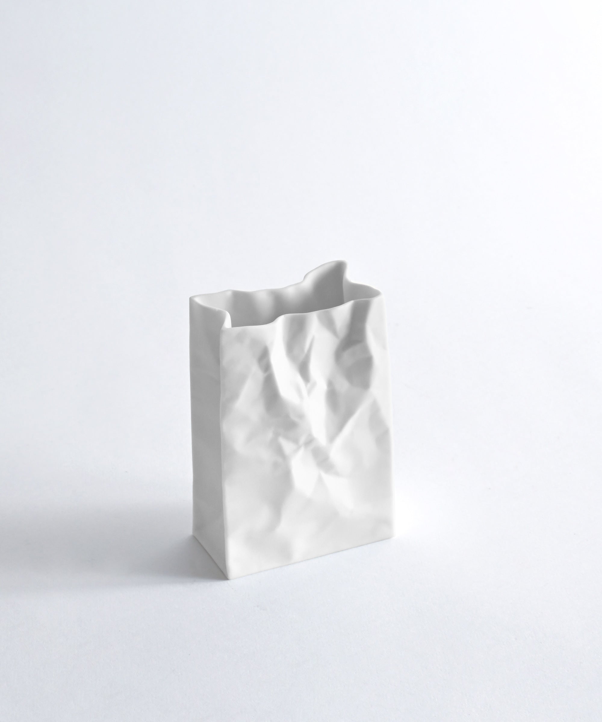 セラミック・ジャパン】new crinkle super bag ニュークリンクル