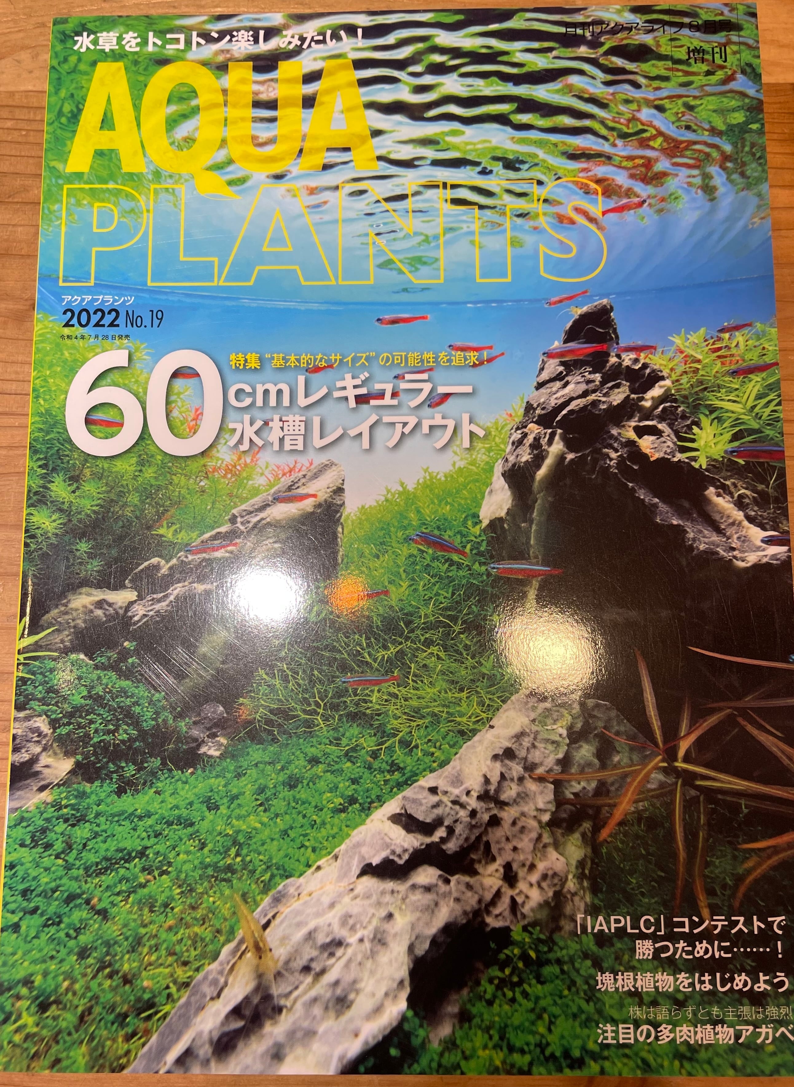 アクアプランツ AQUA PLANTS No.1～No.12 アクアライフ増刊 【公式通販】