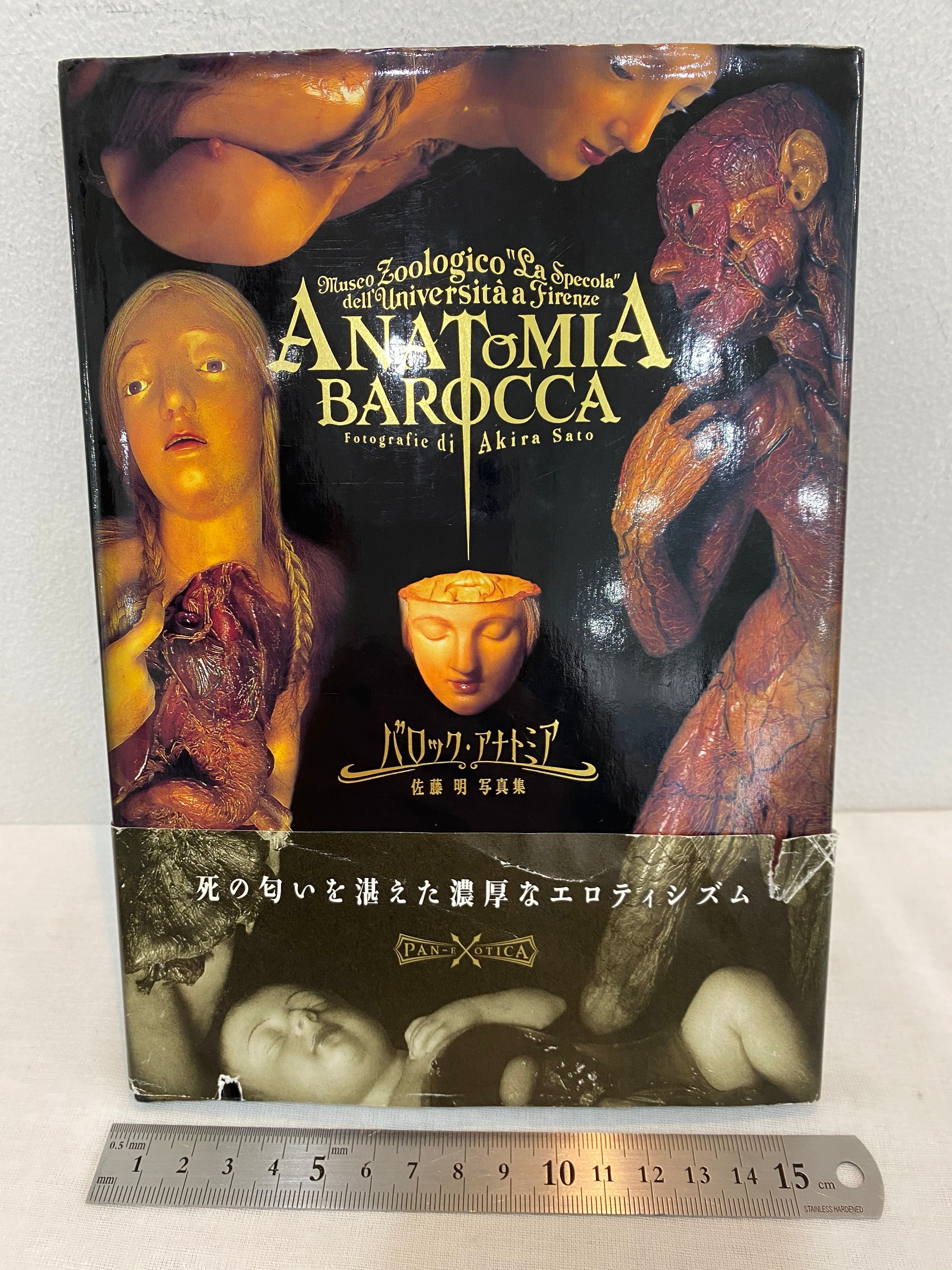 解剖学蝋人形 バロック・アナトミア ANATOMIA BAROCCA | Pay ID