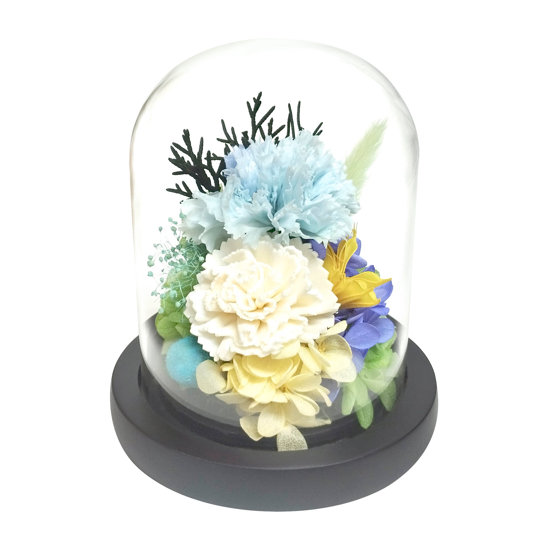 0f3a46da9fd4070ed0b825c6ff33d5