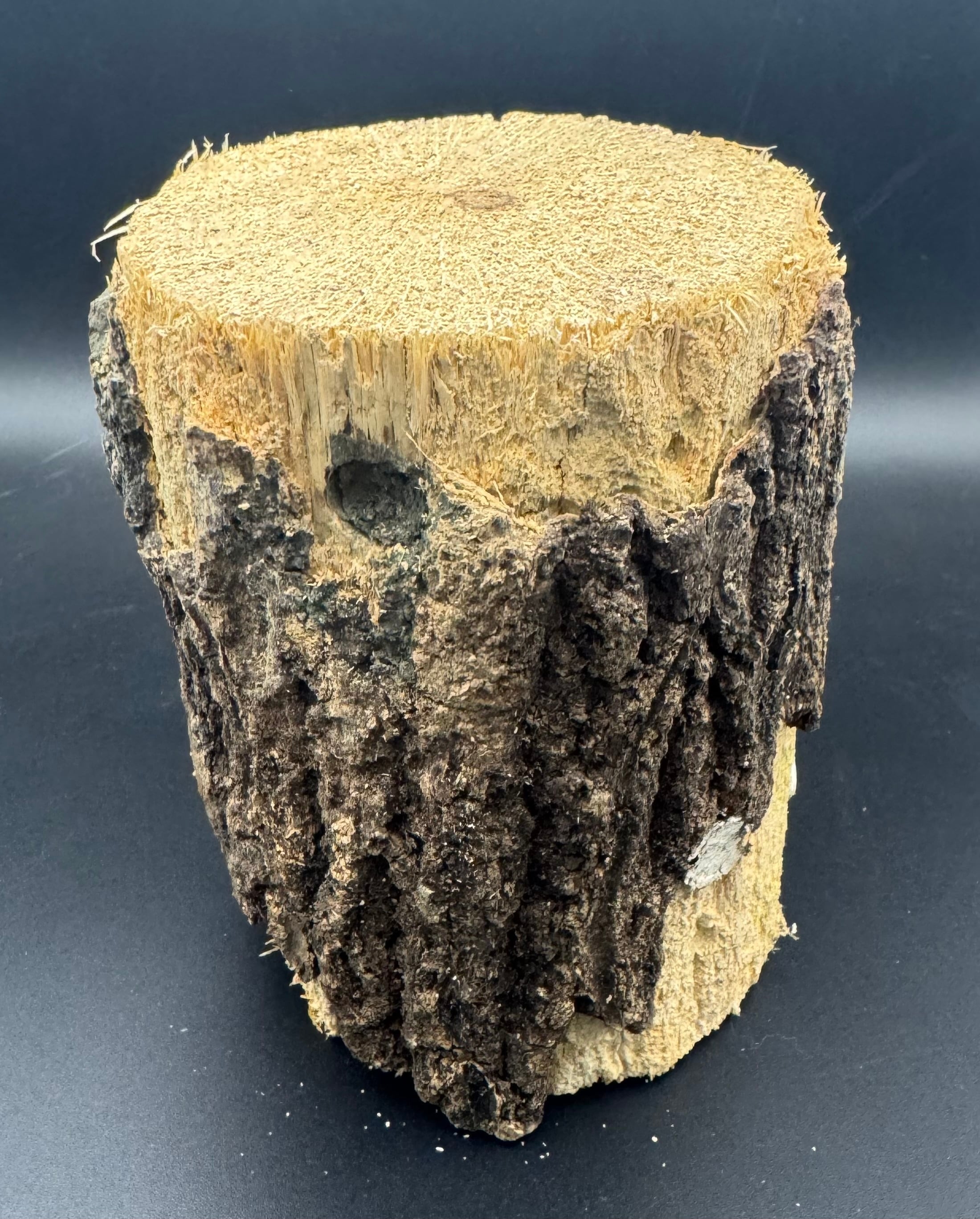 351310bac3c3a221fab0a6e5473929