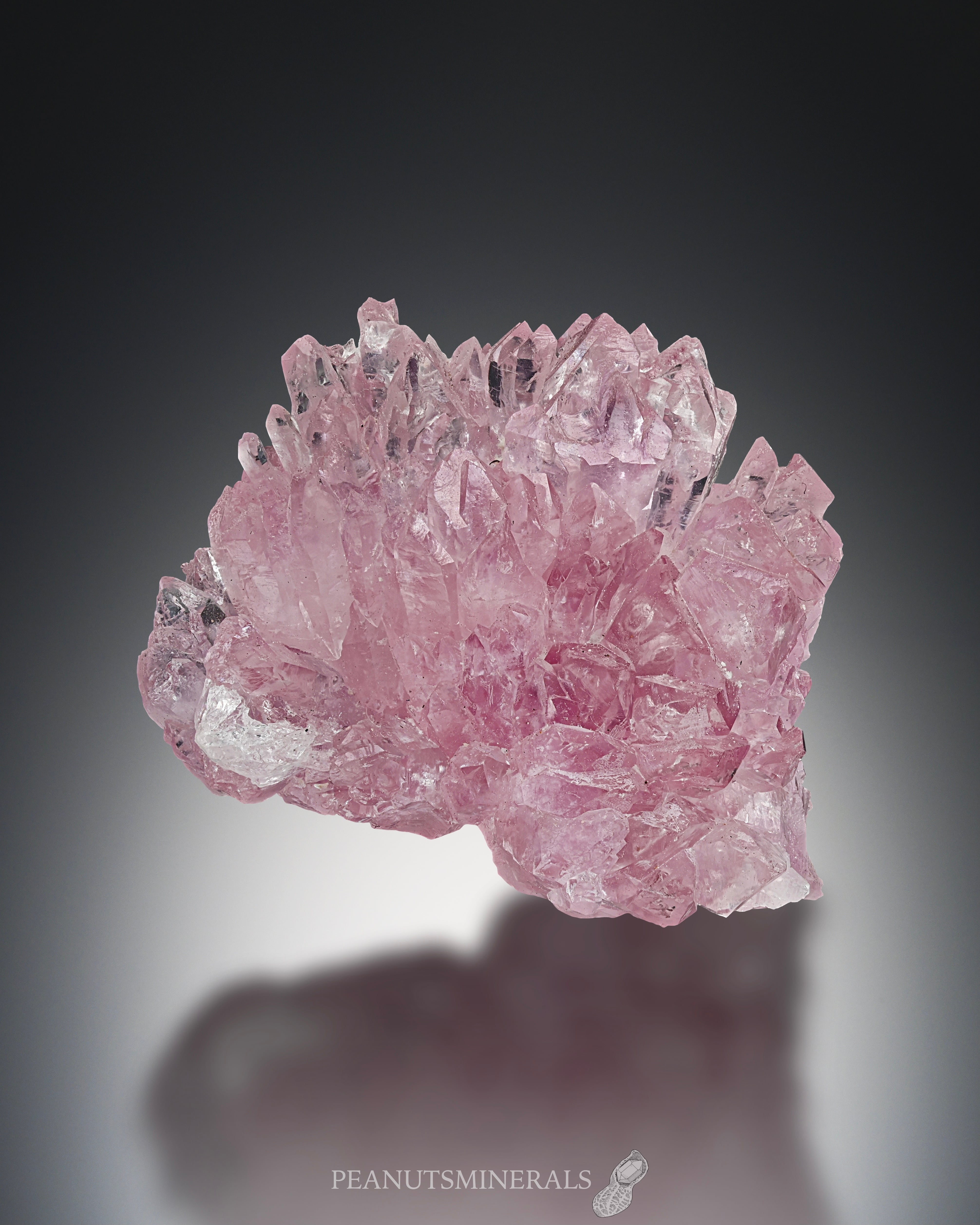 ローズクォーツ【Rose Quartz】ブラジル産 | PEANUTS MINERALS