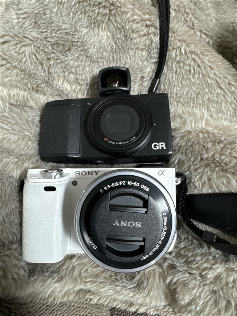 海外旅行に持って行くカメラについて』 SONY α6000 ILCE-6000Y ダブル