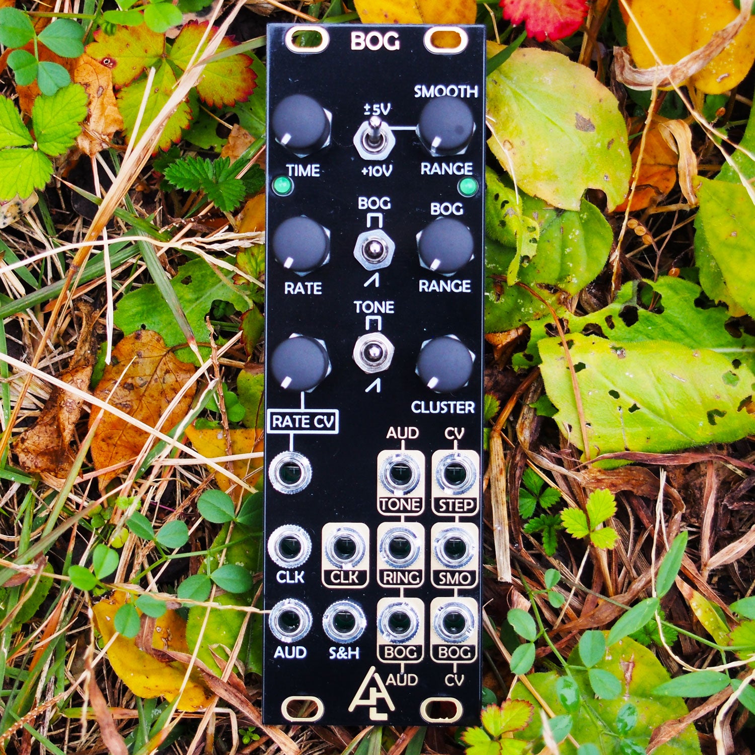 Home page – タグ 