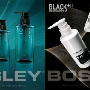 ハイブリット美容デンキブラシ「ヘアリプロ・ドゥライズ」Hair Repro