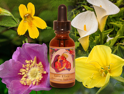 ラブエリクサー（ラブエリクシール）パワーオブフラワーヒーリング