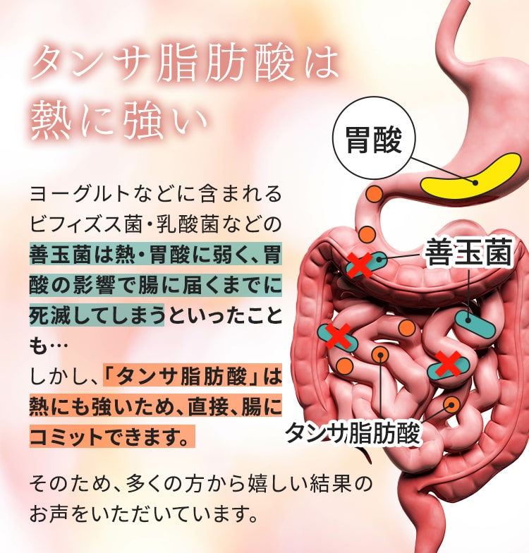 腸活の最先端 魔法のTANSA409 - 美is 〜 Beauty Harmony