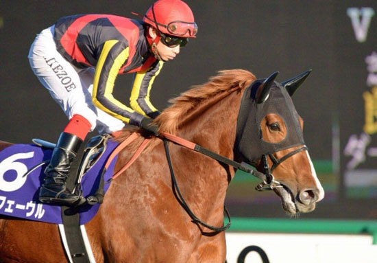 オルフェーヴルとディープインパクト「どちらが強い」？ 「愛され方