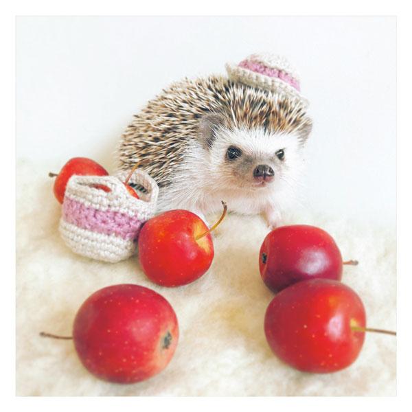 はりねずみのあずき&もなか Calendar - インプレスブックス