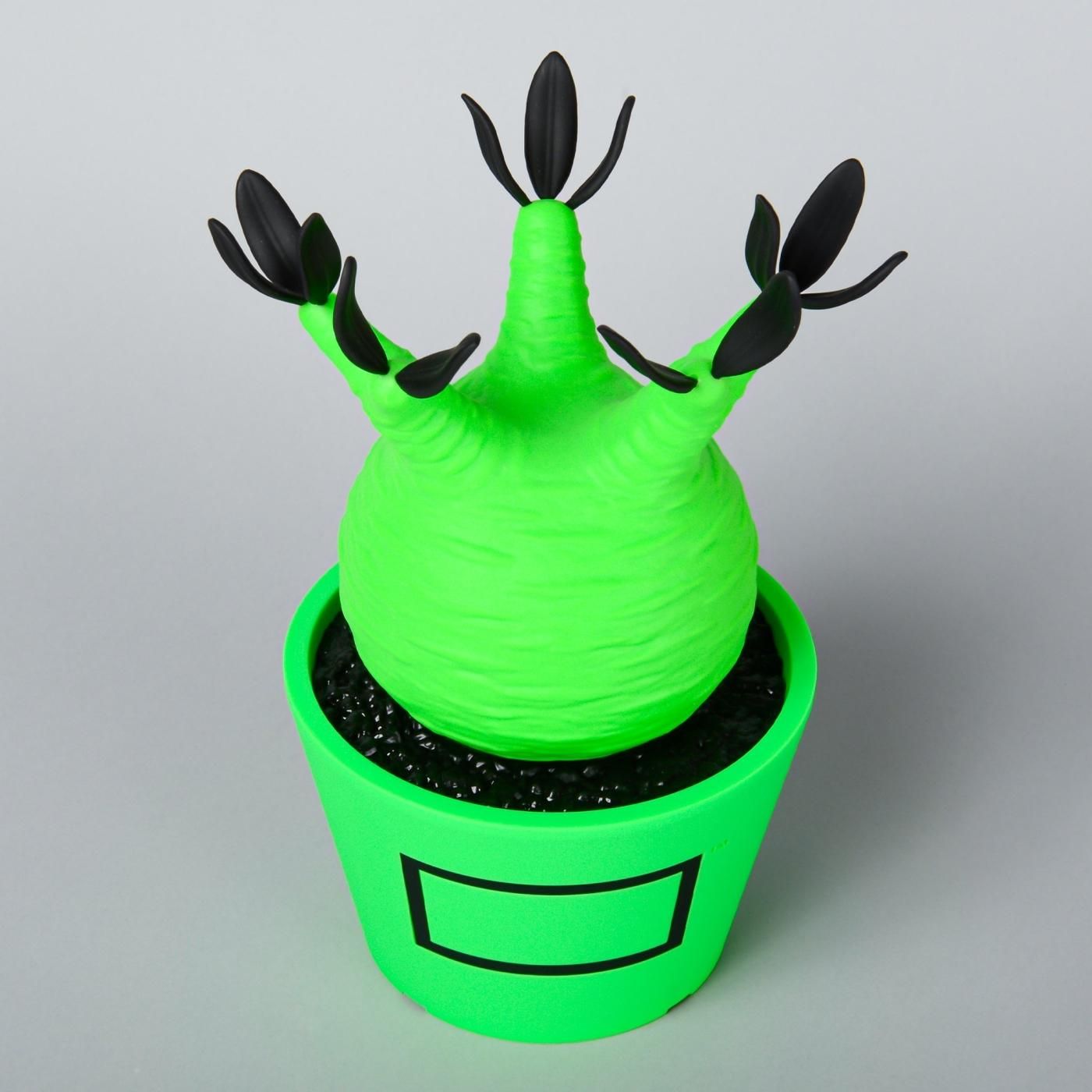 VCD Pachypodium Gracilius Fluorescent Green ＆ Black – BOTANIZE