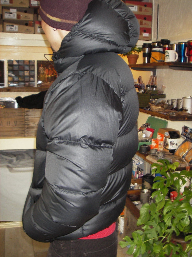 フェザー・フレンズFeathered Friendsフーデッド・ヘリオス