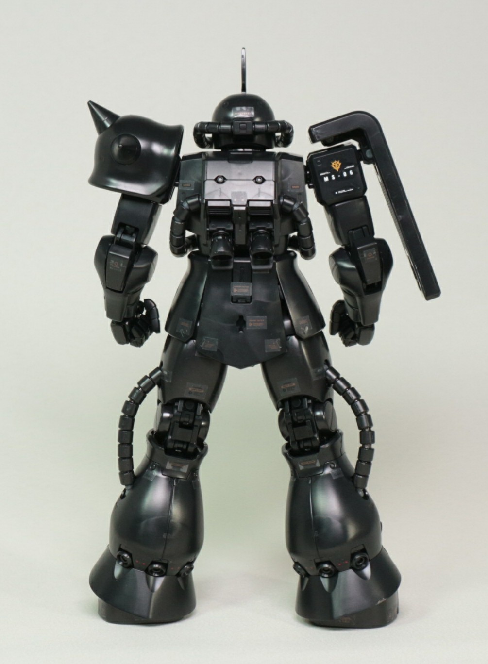 ジオン公国軍 指揮官用モビルスーツ MG 1/100 MS-06LS LUNA SEA専用