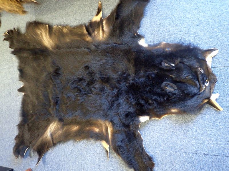 極上特選ツキノワグマ・漆黒の必殺黒毛スキン販売のお知らせ。 | BIZEN