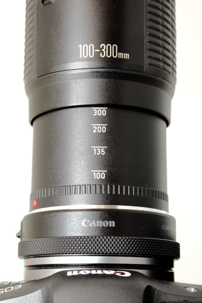 Canon EF100-300mm F5.6L レビュー - 我がカメラこそ我が意志