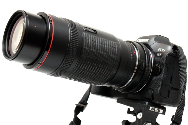 Canon EF100-300mm F5.6L レビュー - 我がカメラこそ我が意志