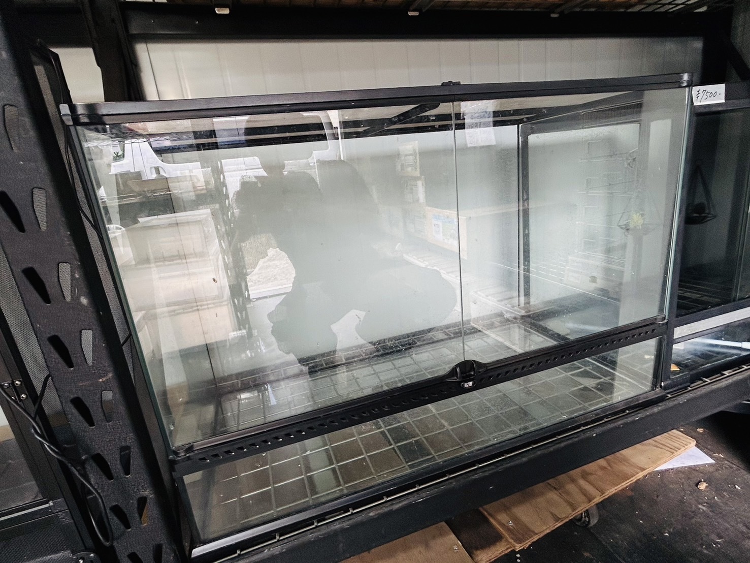 中古 グラステラリウム 9060 ‼ 横90cm×奥行き45cm×高さ60cm