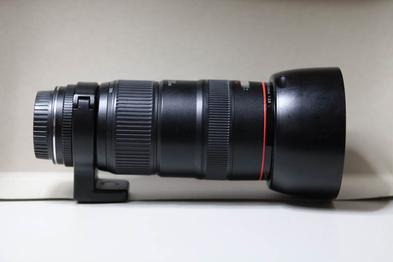 EF 80-200mm F2.8Lを買ってみた | わきゅうの物欲日記（不定期）