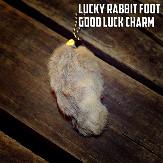 ラビットフット。 | MUSHMANS BLOG | マッシュマンズ ブログ