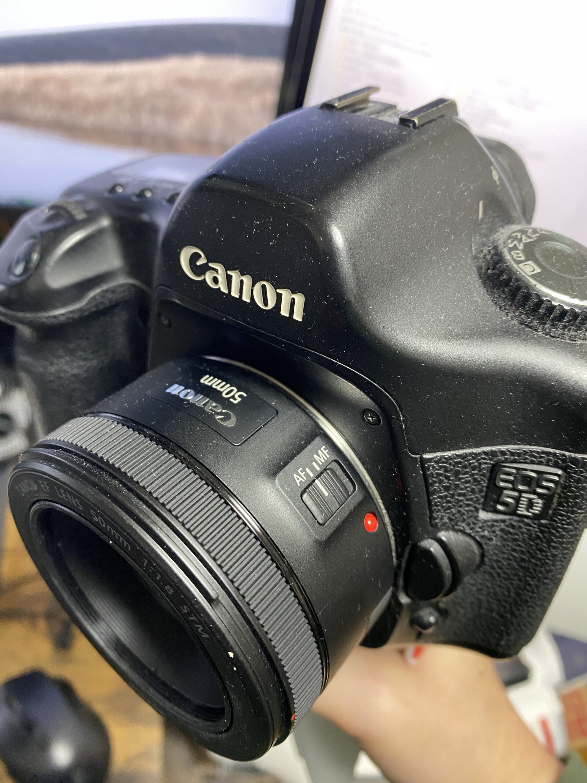 Canon 単焦点レンズ EF50mm F1.8 STM 購入 | D'sDinner@Blog