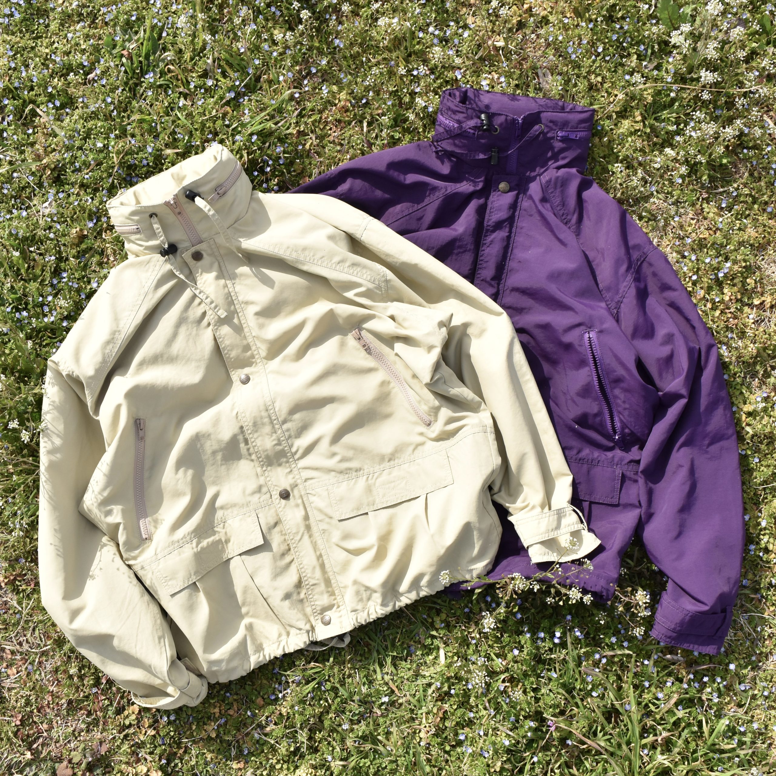 SIESTA ORIGINAL - SIESTA BLOG