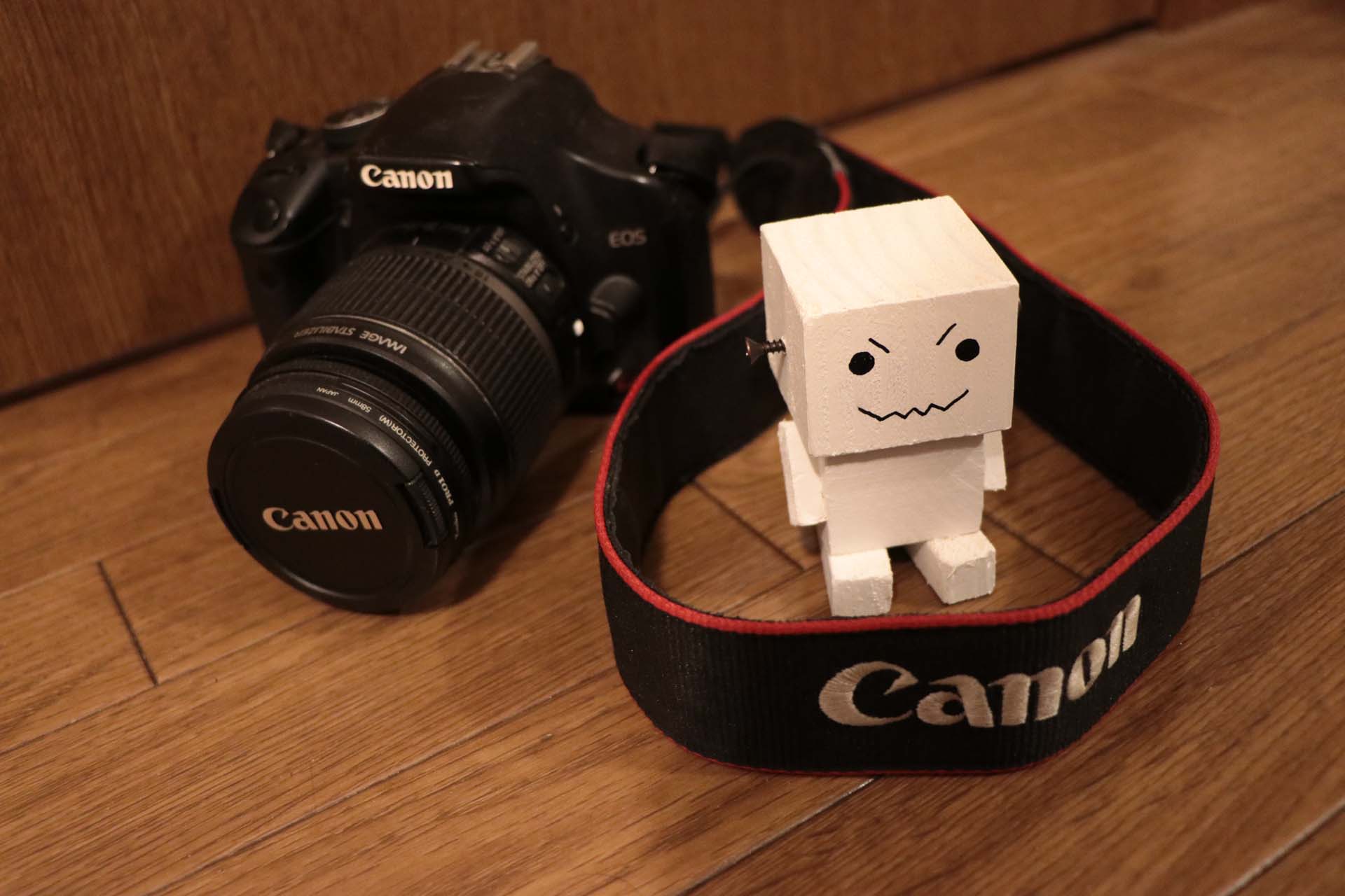 デジタル一眼入門に？Canon EOS Kiss X2 は今でも現役！ | ヤスカズラボ