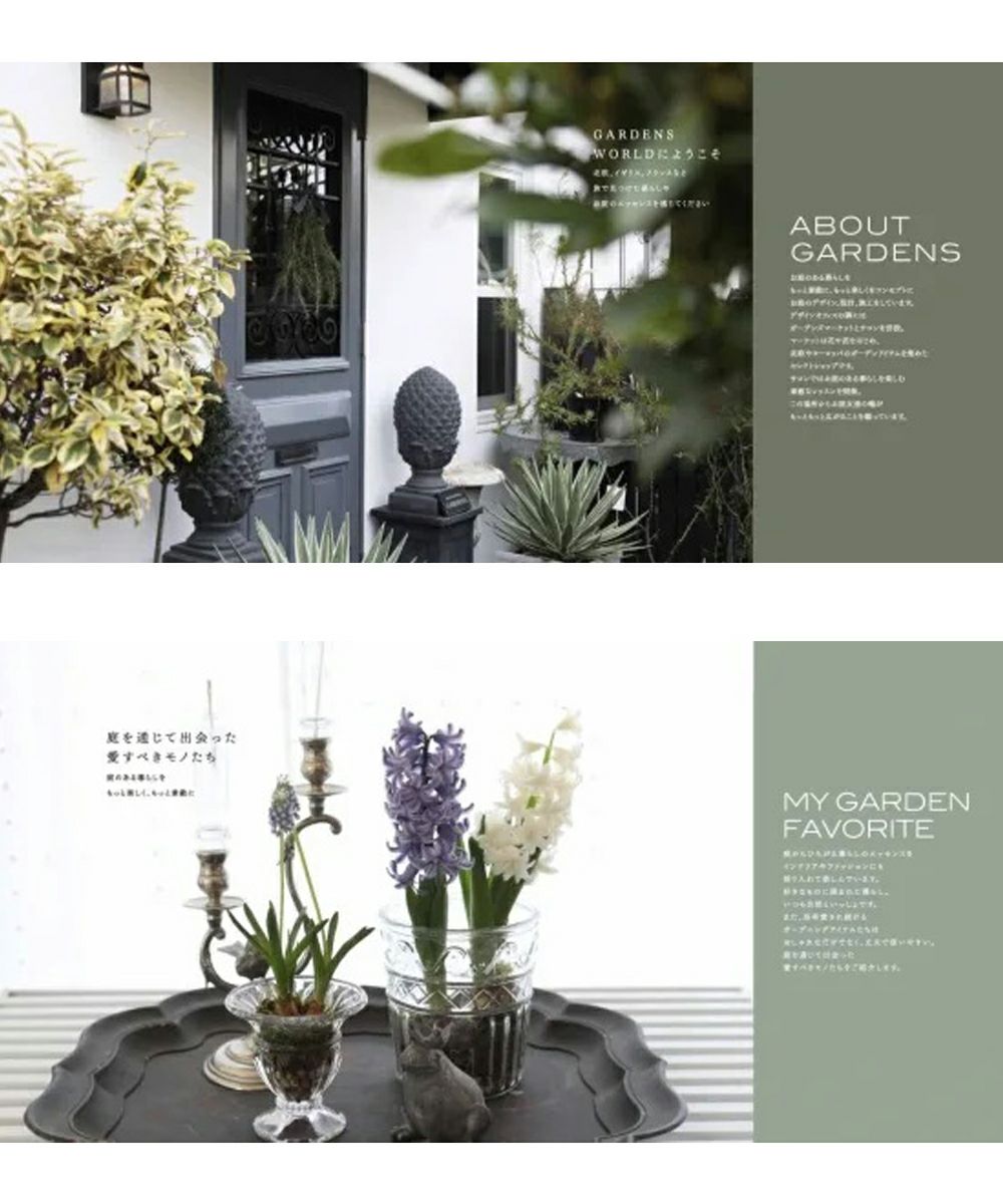 GARDENS LIFE2 – Blanc de Juillet