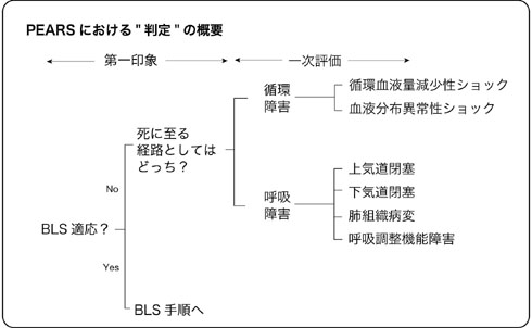 PEARSプロバイダーコース【病院外特別版】
