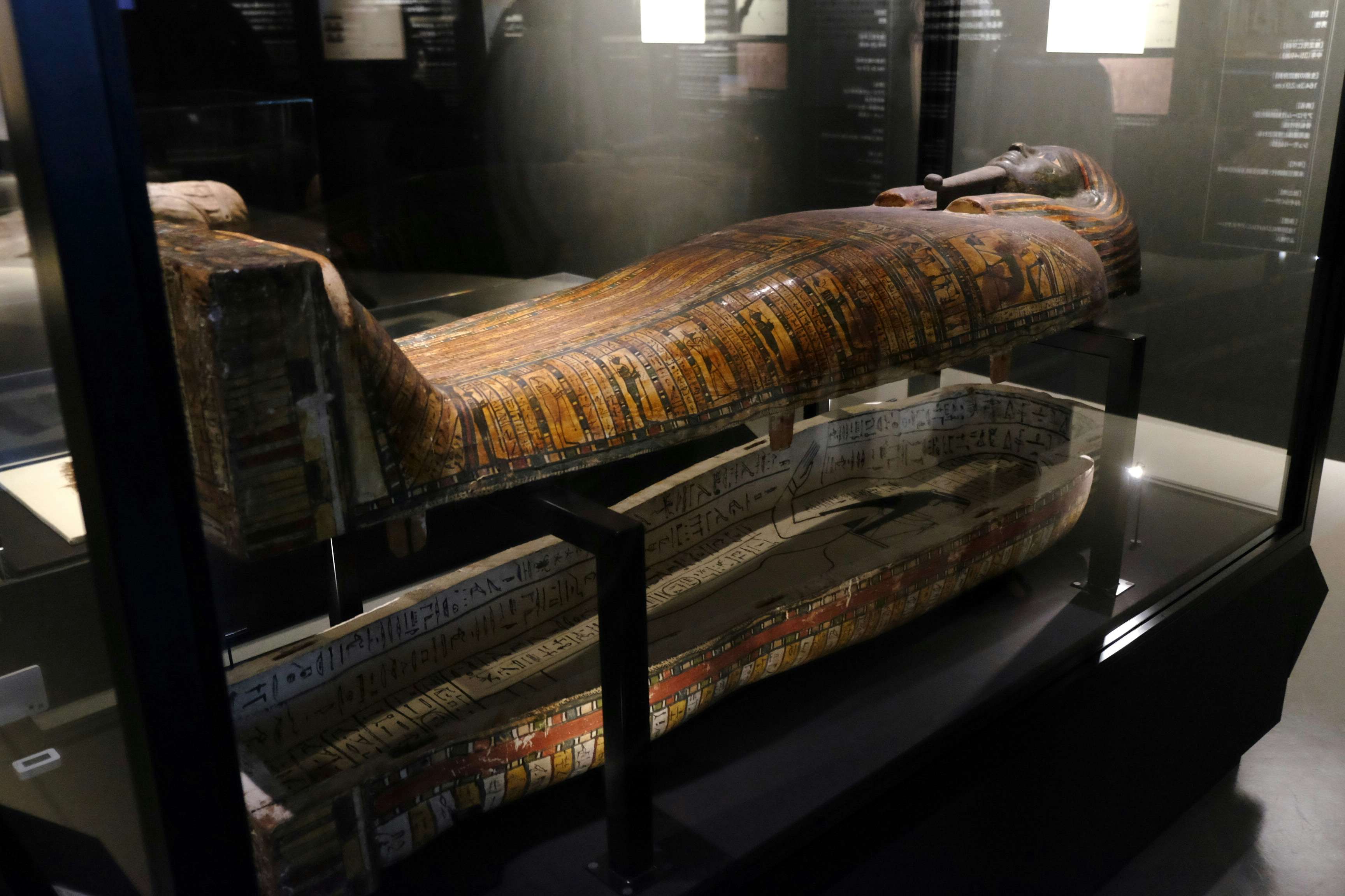 6体のミイラをCTスキャンで解析。古代エジプト人の生き様を知る「大英