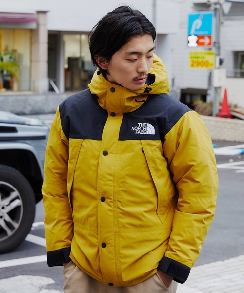 THE NORTH FACE（ザノースフェイス）の「THE NORTH FACE MOUNTAIN DOWN