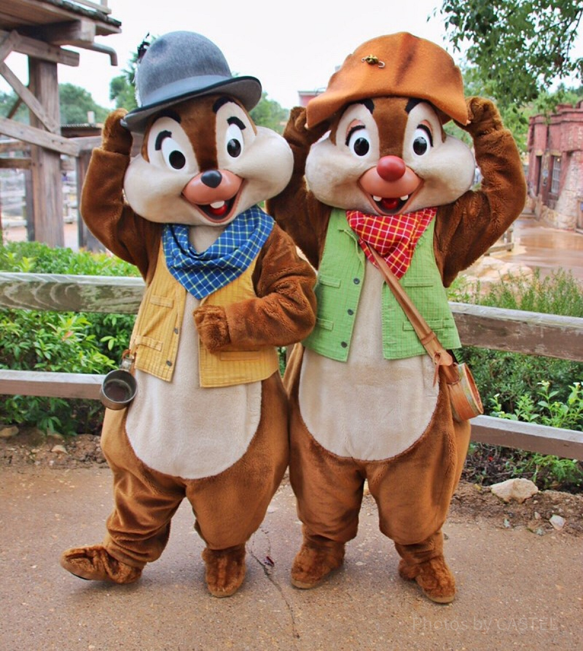 チップとデール 写真入れ 東京ディズニーリゾート お誕生日おめでとう