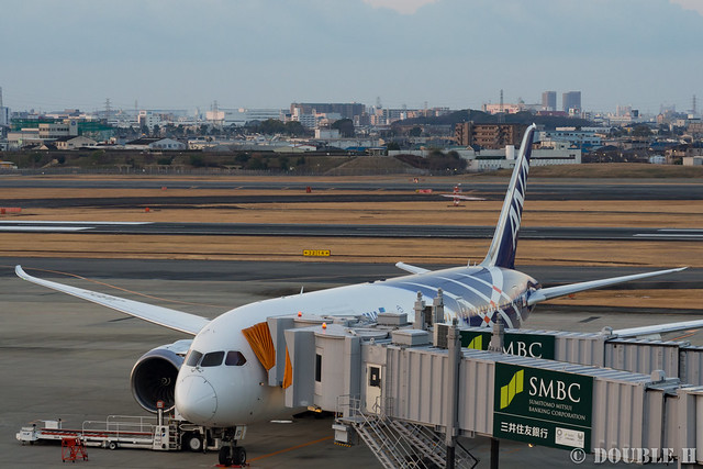 さよなら鯖太郎 ～ANA B787 初号機 JA801A 特別塗装機、最後の思い出