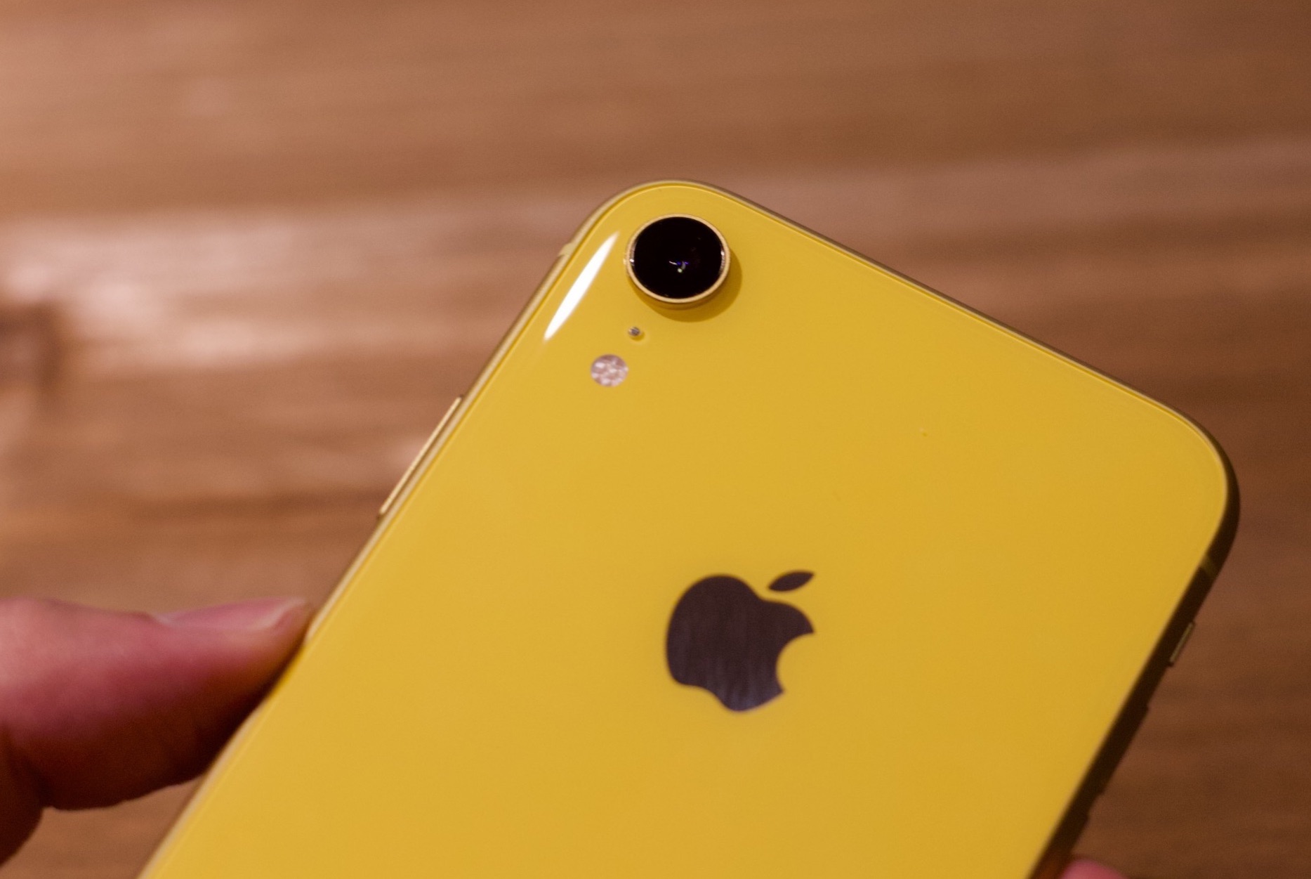 作例多め】iPhone XR イエロー徹底レビュー その2 カメラ編｜Camoor