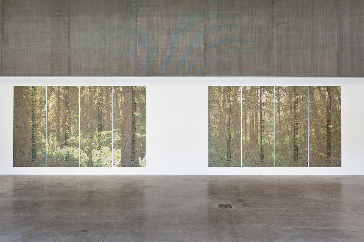 Peter Sutherland: Forests and Fires - Contemporary Art Museum St