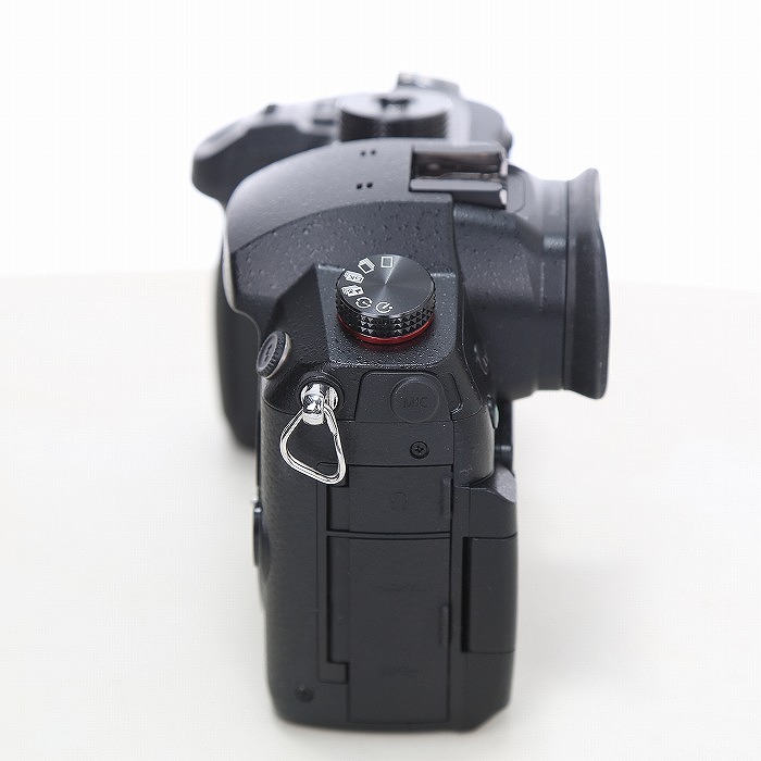 中古】(パナソニック) Panasonic DC-GH5M2｜ナニワグループオンライン