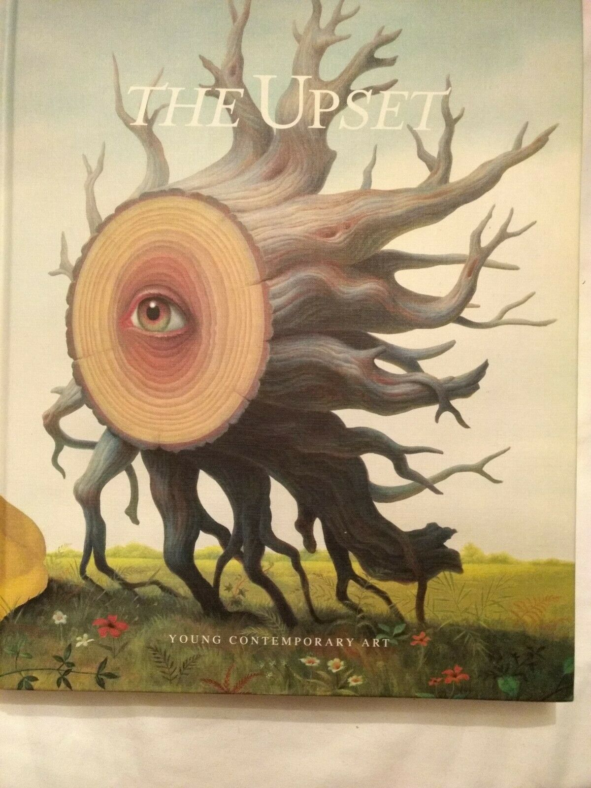 The Upset: Young Contemporary Art Hardcover Book by Pedro Alonzo